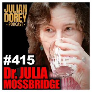 #415 - "PSYCHIC Program!" - Neuroscientist on Remote Viewing, STARGATE & Telepathy | Julia Mossbridge