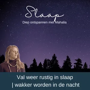 🌙 Slaapmeditatie: Val weer rustig in slaap | wakker worden in de nacht