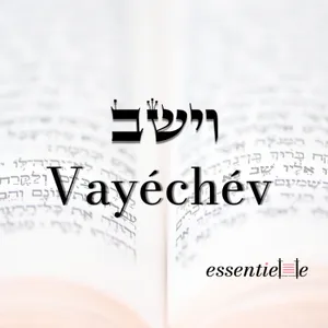 5786 - Vayéchév - Transformer les rêves en réalité