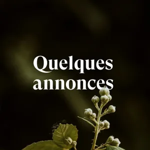 Quelques annonces importantes