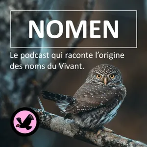 Qui sont les 3 frères de BSG ? (2/3), Nomen : Les plus étonnantes origines des noms des espèces