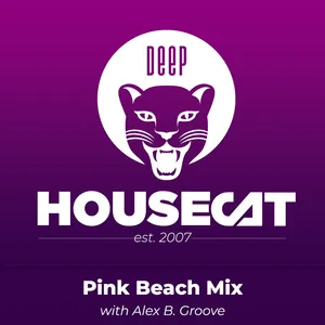 Pink Beach Mix - with Alex B. Groove