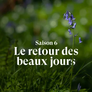 Saison 6 - Le retour des beaux jours 🌱