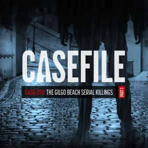 Case 354: The Gilgo Beach Serial Killings (Part 1/2)