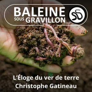 L'Éloge du Ver de terre (Christophe Gatineau)
