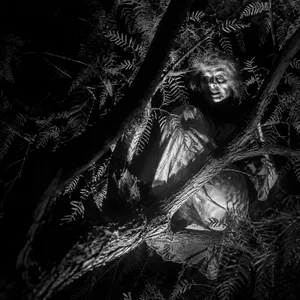 Especial de Brujas: Historias reales de encuentros y brujería