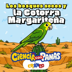 Cotorra Margariteña: el ave que sobrevivió al borde de la extinción