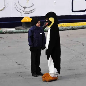 Kinderhörspiel - Wenn Pinguine fliegen