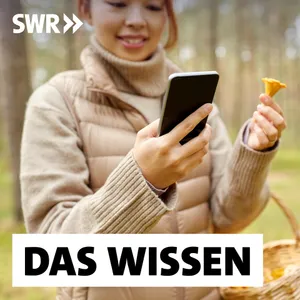 Pilze sammeln – Naturnahes Hobby oder ökologisch fragwürdiger Trend?