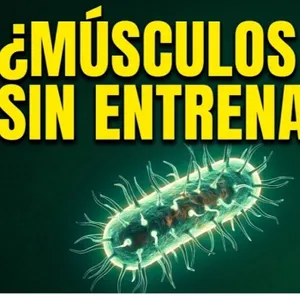 326. ¿Músculos sin entrenar? El poder una BACTERIA REVOLUCIONARIA