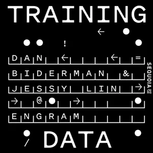 Memory and Continual Learning: Engram's Dan Biderman and Jessy Lin
