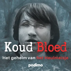 1. De Vondst