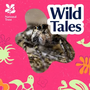 Sex, Death and Spiders