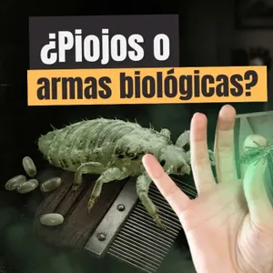 ¿Piojos o armas biológicas?