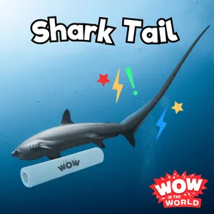 A Shark Tail: Can a Yoga Class Learn the Secrets of the Thresher Shark?