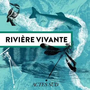 [Bande-Annonce] Rivière Vivante - Entre terre et mer, le delta du Rhône - Épisode 1/6