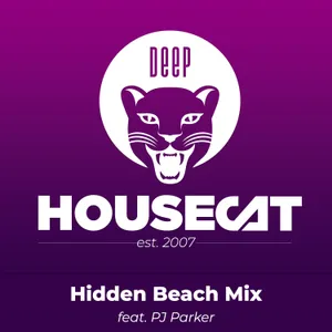 Hidden Beach Mix - feat. PJ Parker