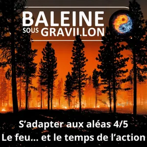 S08E04 S'adapter aux aléas 4/5 : Après les feux, le temps de l'action (Éric Daniel-Lacombe)