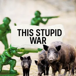 The Pig War: Hogging the border