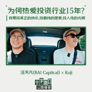 「热爱一个行业15年的理由是什么？」｜对谈汪天凡：我要投真正的快乐、投最纯的愿景、投人性的光辉【公路播客】
