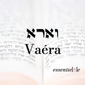 5786 - Vaéra - Les étapes dans la Gueoula d’Israël