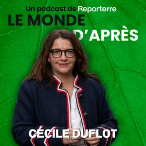Et si... on battait l'extrrême droite ? Avec Cécile Duflot