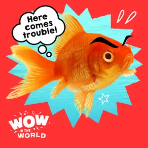 Not All Fin and Games! What Happens to the Ecosystem When Pet Goldfish Go Wild?!