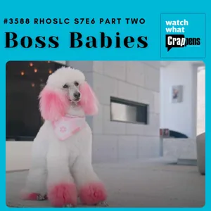 #3588 RHOSLC S7E6 Part Two: Boss Babies