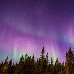 Luminous Sleep ~ Deep Sleep Music & Calming Crickets