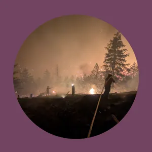 What it’s like to flee the B.C. wildfires
