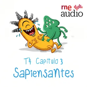 Sapiensantes - T4 - E3- ¿Por qué tenemos cosquillas?