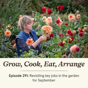 Revisiting key jobs in the garden for September - Episode 291