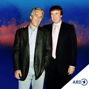 Welche Rolle spielen die Epstein-Akten bei den Midterms?
