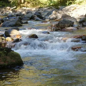 Sonido De Agua Relajante