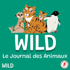 Pourquoi les abeilles ont-elles des rayures ?