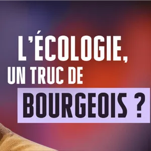 « L'écologie dominante est hors des mondes populaires »