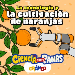 El Naranjo y la Computadora: cuando la tecnología cuida el campo