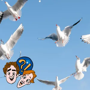Wenn viele Vögel im Kreis fliegen, kann dann ein Tornado entstehen?