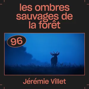#96 — Les ombres sauvages de la forêt, avec Jérémie Villet