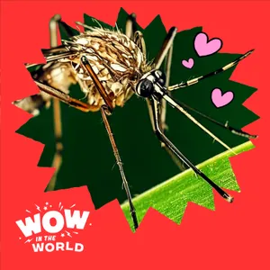 Tag! You’re BIT! The Science of Why Mosquitoes Bite Certain People!