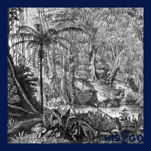 His2Go Revisited (4/4) - Die verschollene Amazonas-Stadt