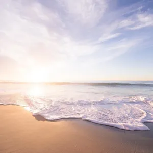 Música Tranquila con Sonidos del Mar
