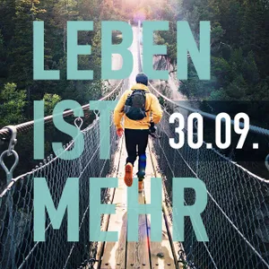 11,3 Millionen Euro verpasst!