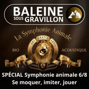 BEST OF D'ÉTÉ #40 Symphonie animale 6/8 : Se moquer, imiter, s'amuser, qui sont les virtuoses ,