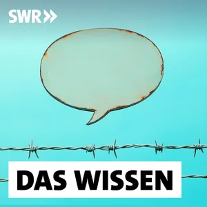 Versteckte Botschaften auf Social Media – Was hinter Algospeak steckt
