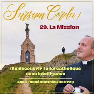 La Mission : Sursum Corda 29