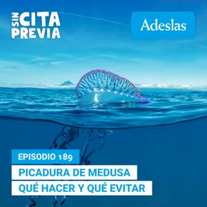 Picadura de medusa qué hacer y qué evitar