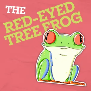 Why Do Red-Eyed Tree Frogs Have Multiple Eyelids?