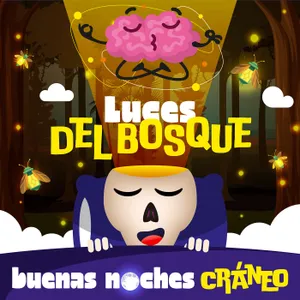 Luces del bosque (asombro)