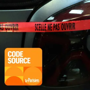 Fourrières à Paris : le scandale qui en cache un autre